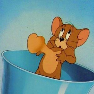 Meet your Posher, Grace